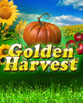 Golden Harvest Lotto